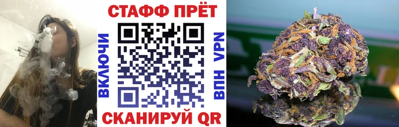 Купить закладку Бошки Шишки  КЕТАМИН  Меф  МЕТАДОН  Новая Ладога