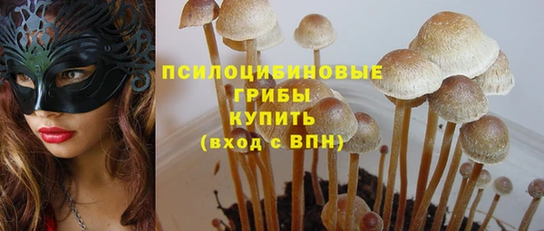 a pvp Горнозаводск