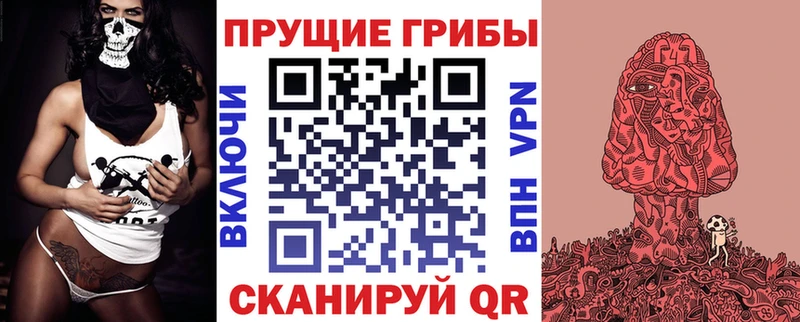 Галлюциногенные грибы Magic Shrooms  Купить  Новая Ладога 